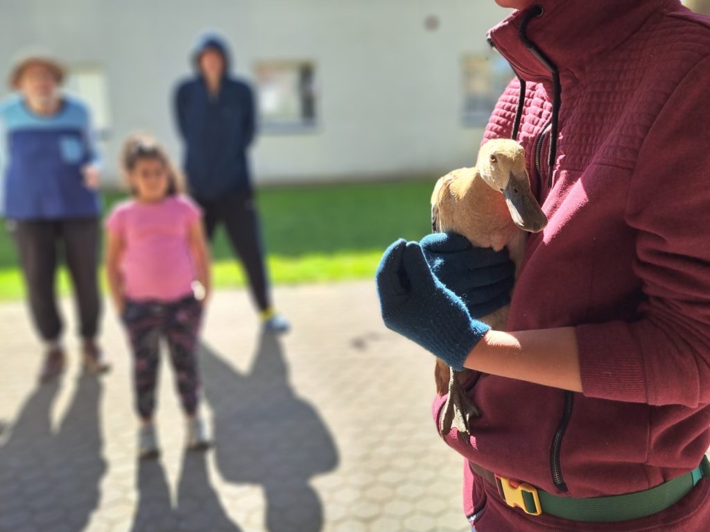 Rukovanje životom_2025-206